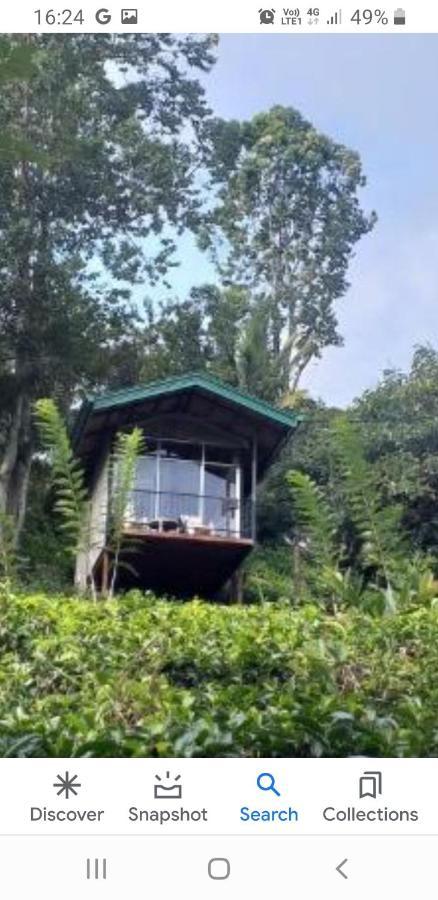 Tea Villas אלה מראה חיצוני תמונה