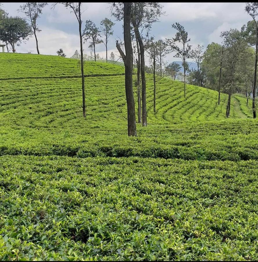 Tea Villas אלה מראה חיצוני תמונה
