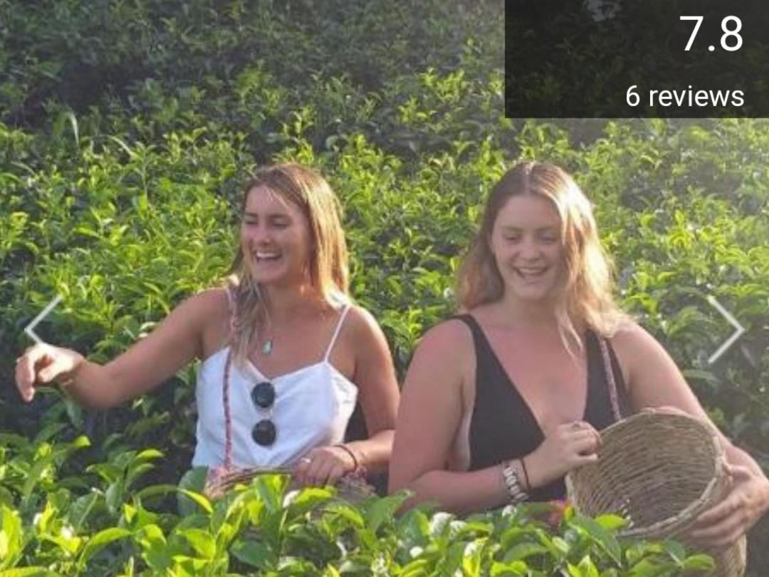 Tea Villas אלה מראה חיצוני תמונה