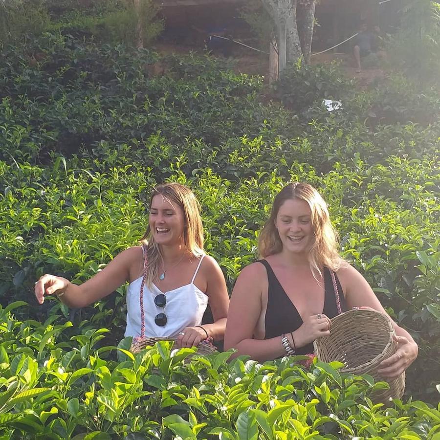 Tea Villas אלה מראה חיצוני תמונה